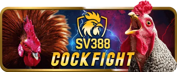Trò chơi máy đánh bạc (nổ hũ) đa dạng tại Vuaclub Casino
